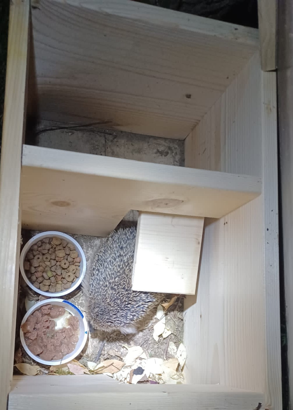 Igelhaus Igelhotel Igelhütte Futterhaus für Igel Igelfutterhaus Natur 2x wetterfest imprägniert mit Boden und Rattenklappe IN