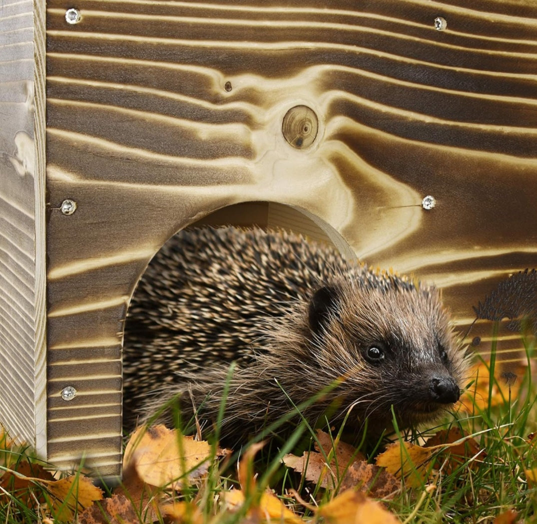 Igelhaus Igelhotel Igelhütte Futterhaus für Igel Igelfutterhaus edel geflammt ohne Boden mit Rattenklappe (IGK)