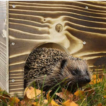Igelhaus Igelhotel Igelhütte Futterhaus für Igel Igelfutterhaus edel geflammt ohne Boden mit Rattenklappe (IGOB)